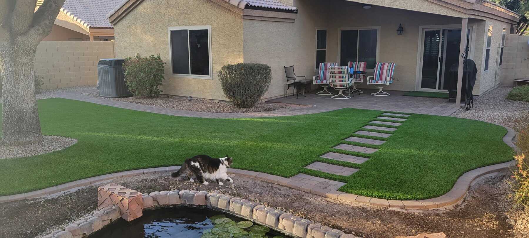 A cat walks along the edge of a small pond in a backyard with artificial grass, patio chairs, and professional work by a Pavers Installer Texas in front of a beige house.